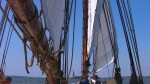 Meerwald sailing toward the Statue