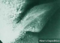 lochnessrinesexpedition