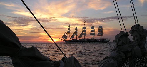 royalclipper