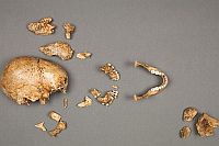 17th-century remains of a young girl excavated from Jamestown, Virginia, show evidence of cannibalism in the colony.