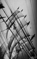 Windjammer British Isles, inspiration for the Lady Rebecca