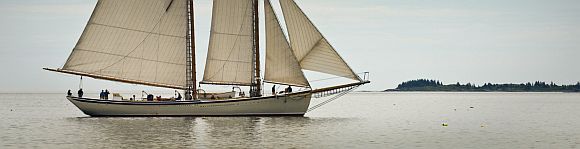 American-Eagle-sailing-in-M