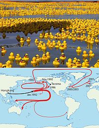 rubber-ducks-sea