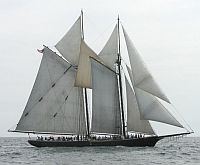 ernestina1