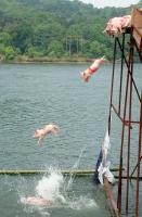 divingpigs