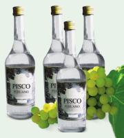 pisco