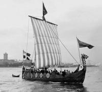 Viking 1893